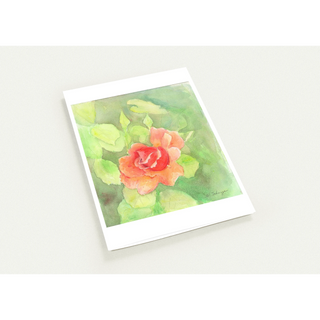 26cd369d-bc77-4293-8833-1777e84bbd31