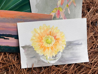 Gerber Daisy at Umstead