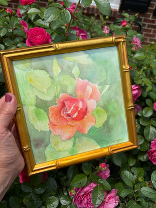 Witherspoon Rose, watercolor