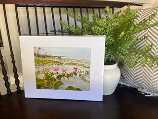 Framed photograph of a beach scene with pink morning glory flowers on a wooden surface next to a potted plant.