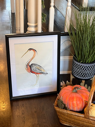 Red Heron, water color study on paper