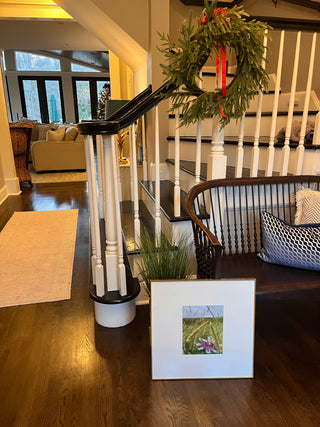 Passion Flower In The Rough at Lonnie Poole