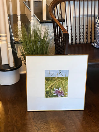 Passion Flower In The Rough at Lonnie Poole