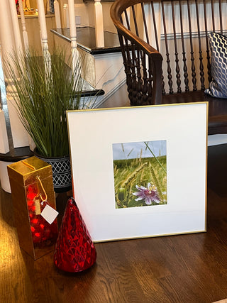 Passion Flower In The Rough at Lonnie Poole