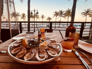 Oysters in Miami