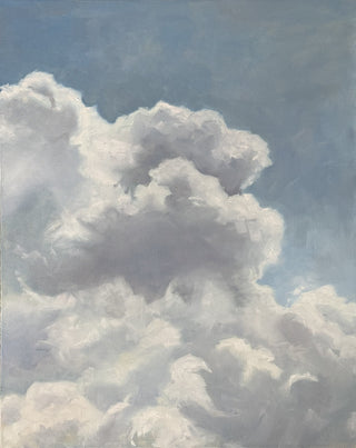Sky in Bloom
