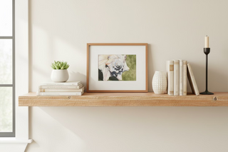 Wooden shelf with books, a framed shell picture, a candle, and a small plant against a white wall.