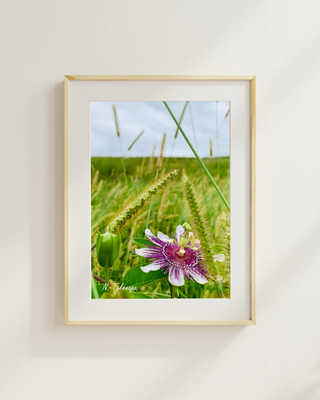 Passion Flower In The Rough at Lonnie Poole
